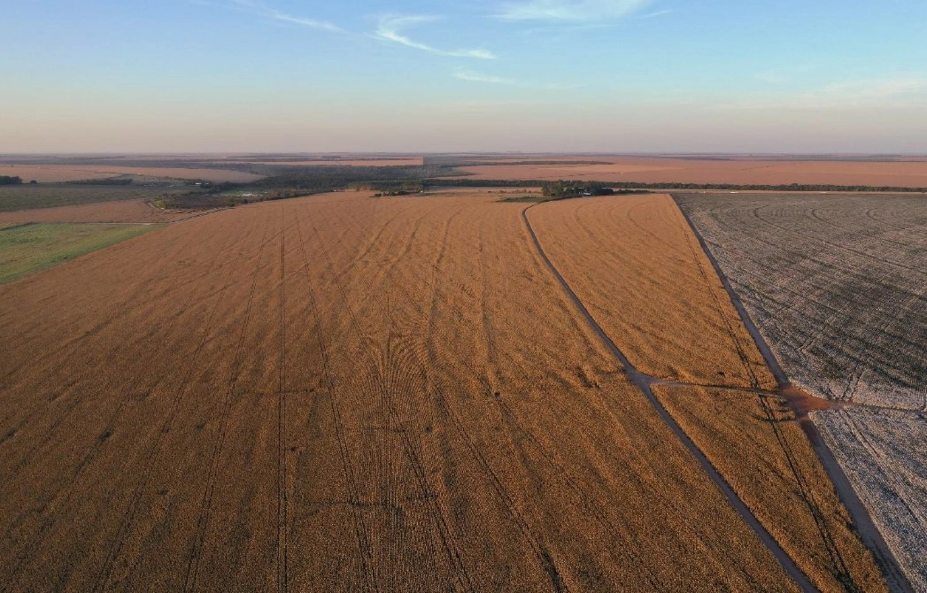  100458 - FAZENDA SANTA TEREZINHA DE ITAIPU MAT. 31.401 1.jpg 