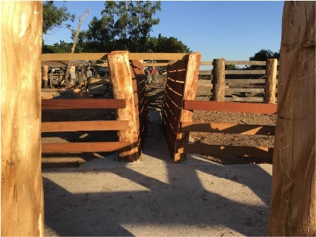  100458 - FAZENDA SANTA TEREZINHA DE ITAIPU MAT. 31.401 12.jpg 