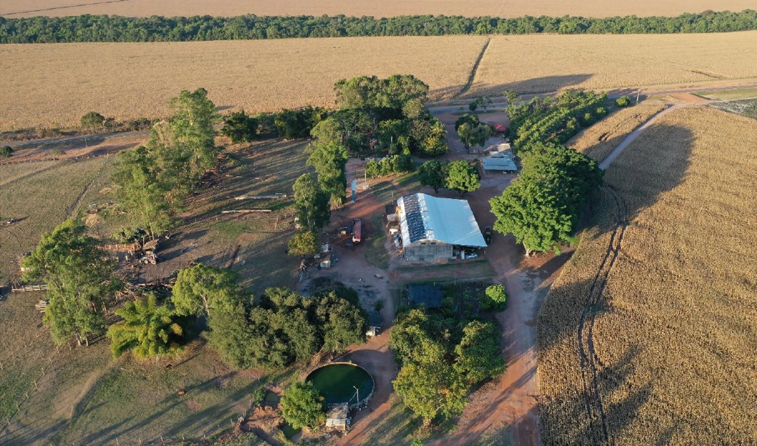  100458 - FAZENDA SANTA TEREZINHA DE ITAIPU MAT. 31.401 46.jpg 