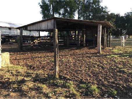  100458 - FAZENDA SANTA TEREZINHA DE ITAIPU MAT. 31.401 7.jpg 