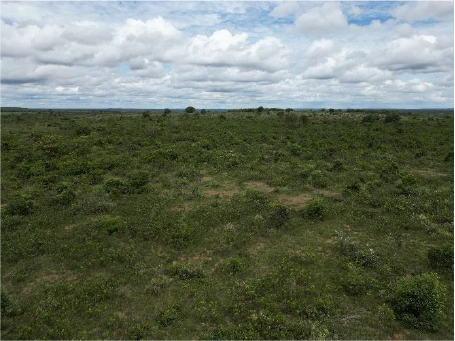  100462 - FAZENDA SANTO ANDRÉ GLEBA C MAT. 18.122 33.jpg 