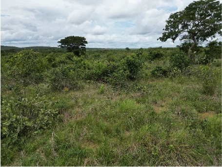  100462 - FAZENDA SANTO ANDRÉ GLEBA C MAT. 18.122 39.jpg 