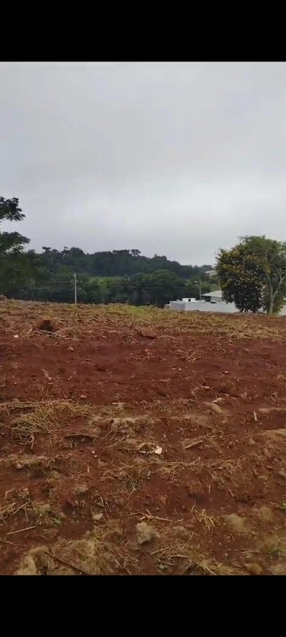  Image (12)_Easy-Resize.com.jpg 