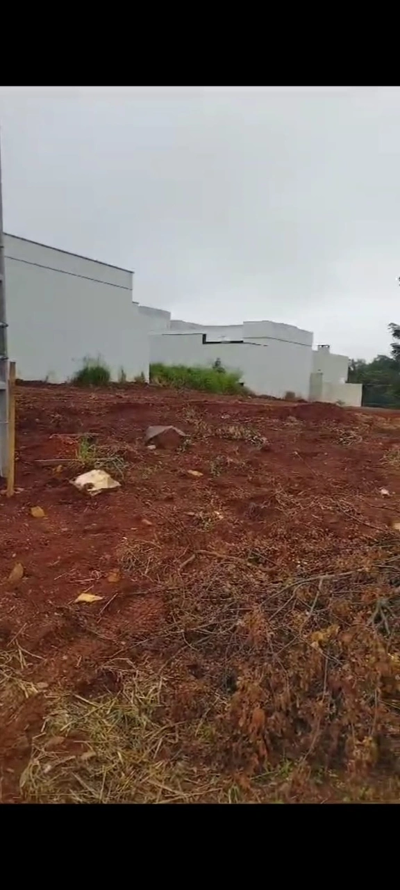  Image (19)_Easy-Resize.com.jpg 