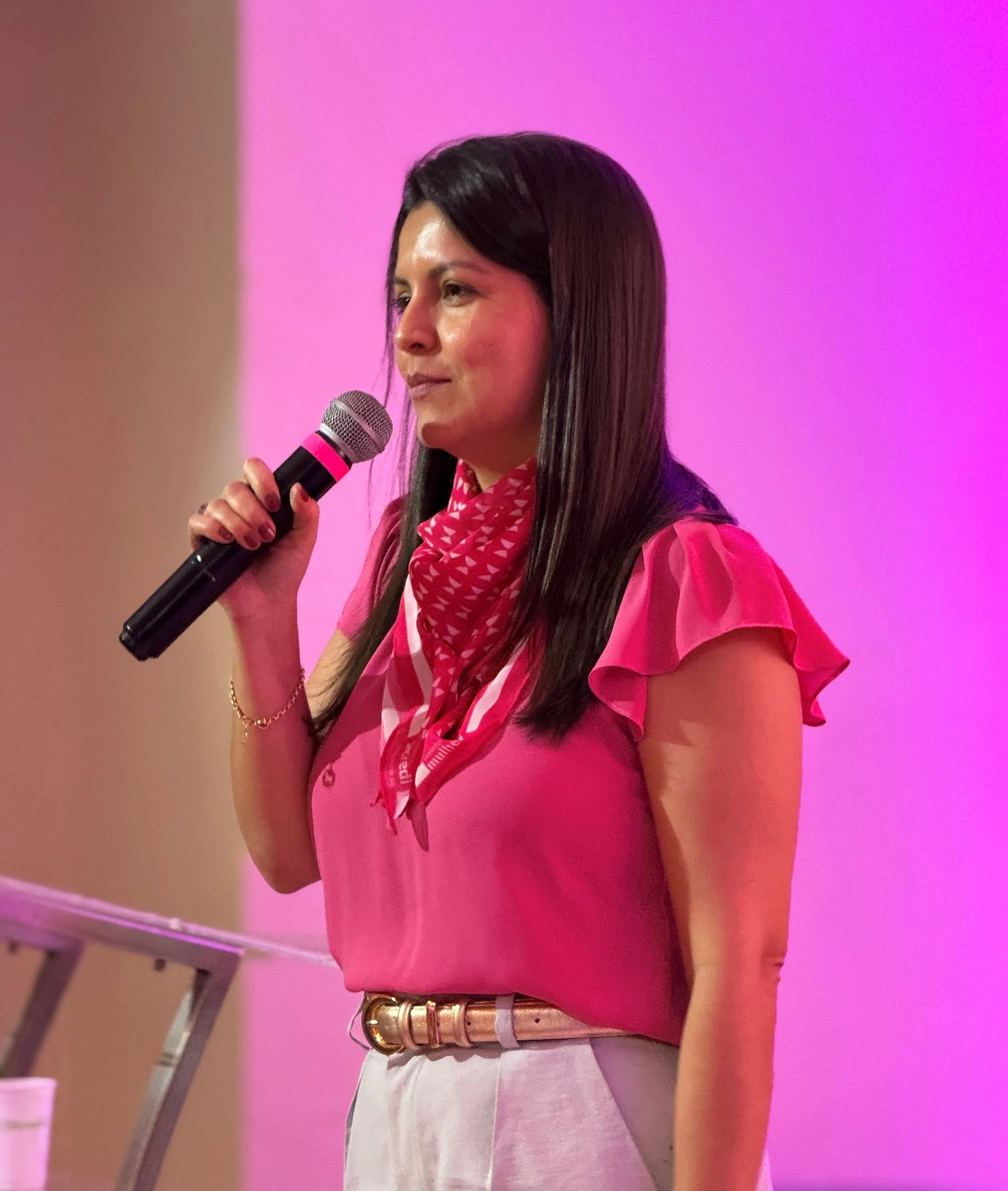  comitê mulher (10).jpg 