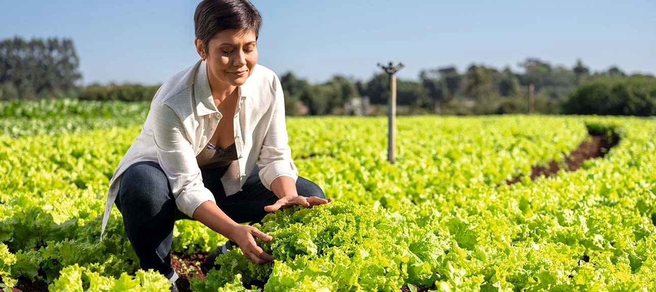  Imagem-para-blog-ATUALIZADA-1300X550 (1)agro.jpg 
