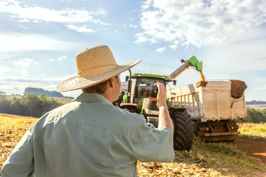  76761-nacional-imagens-milho-rgb-1476742063-banco-de-imagem-agro.jpg 