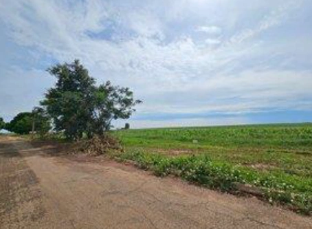  LOTES AMERICANO DO BRASIL 1.png 