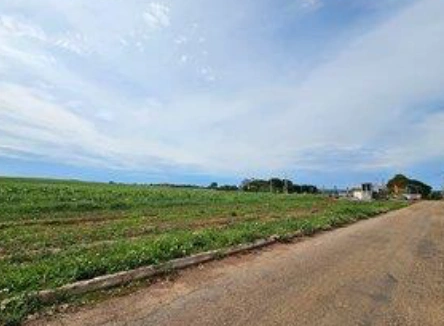  LOTES AMERICANO DO BRASIL 2.png 