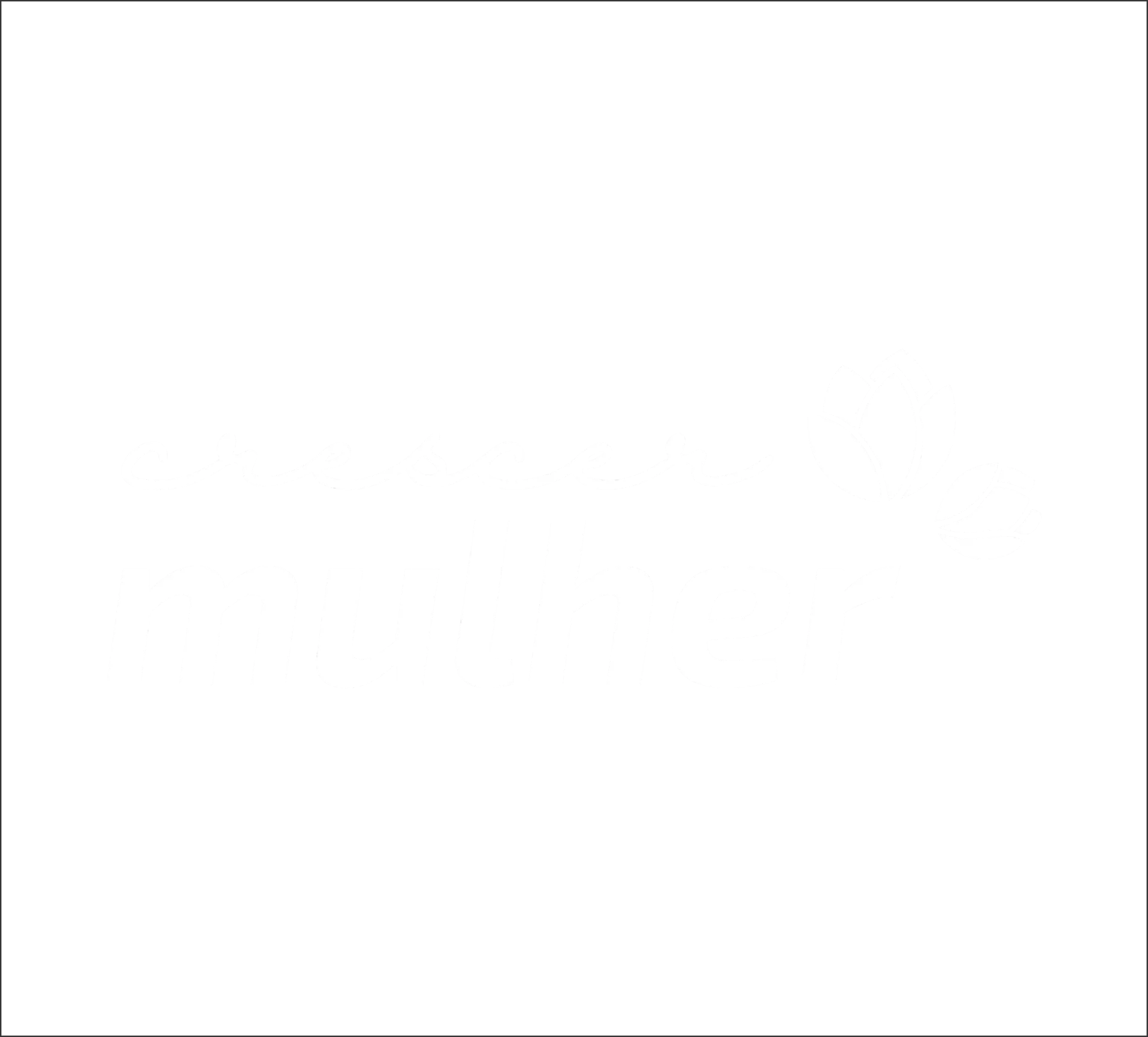  Gerações 