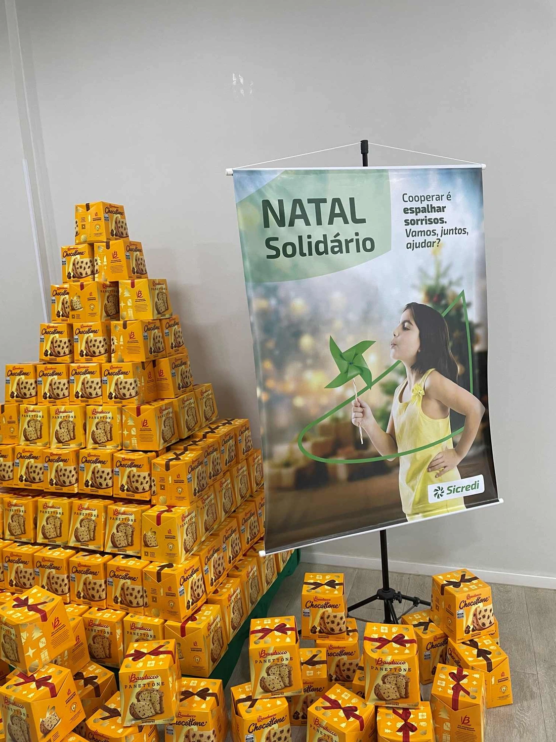  ENTREGA PANETONES - CERES (6).jpg 