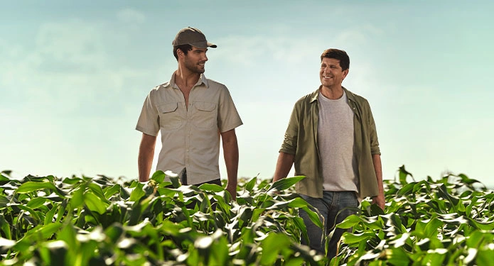  Imagem do site Sicredi 