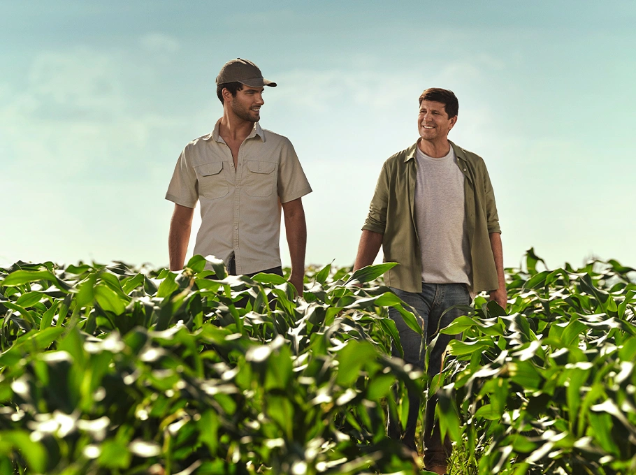  Imagem do site Sicredi 