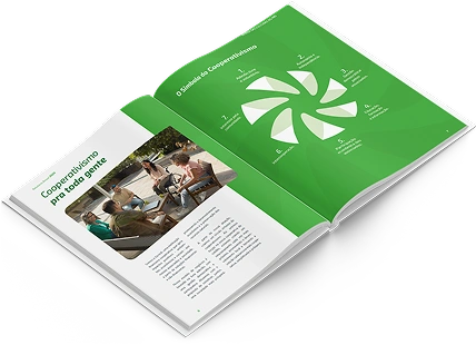  Imagem do site Sicredi 