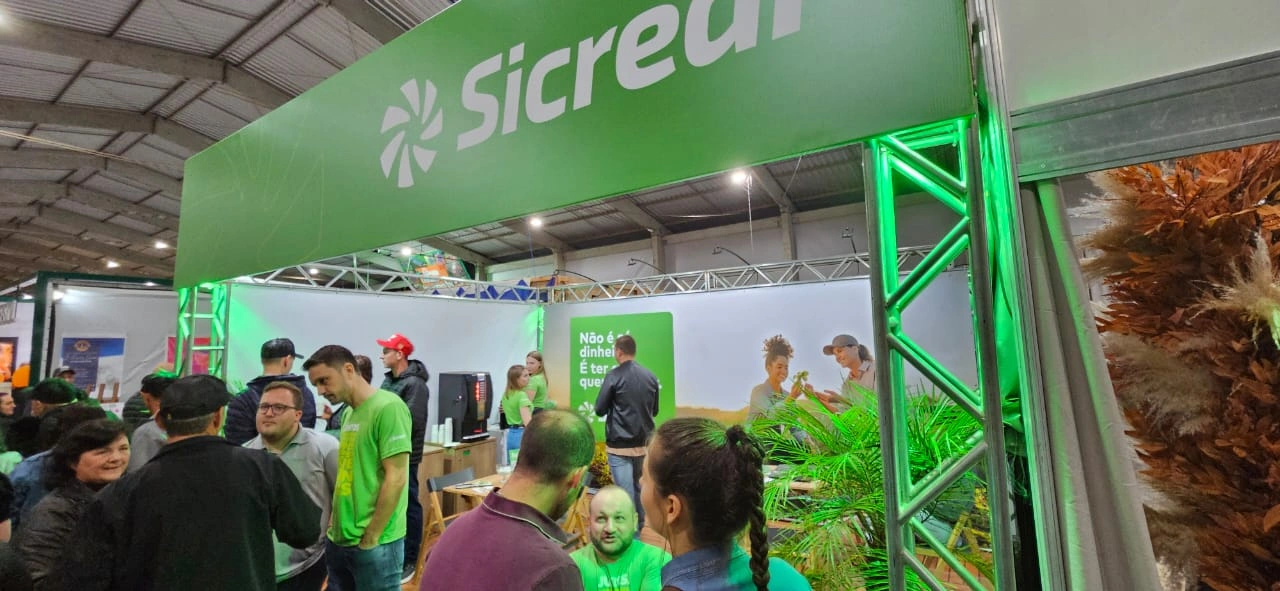  feira seara (2).jpg 