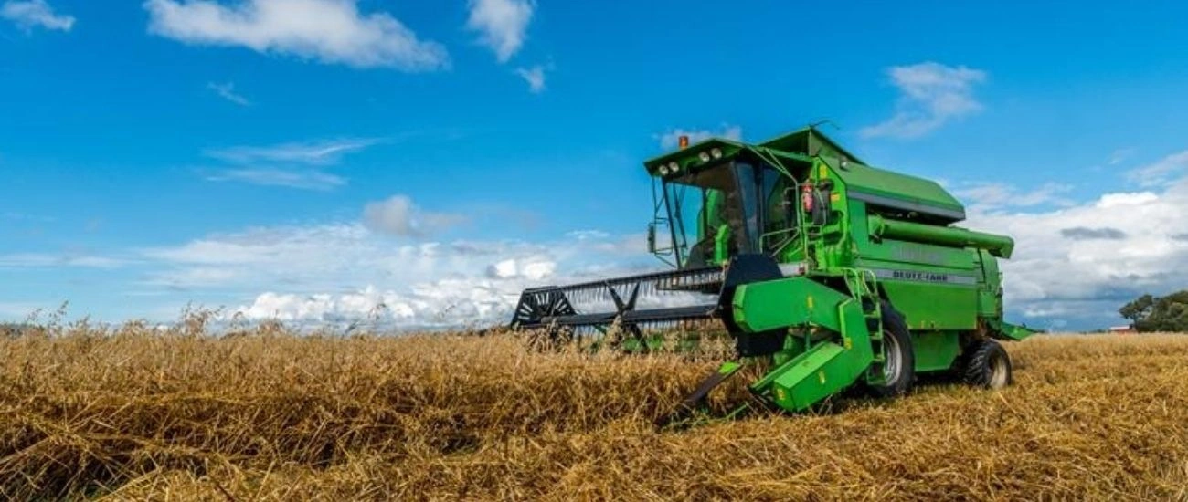 Untitled design (5).jpg