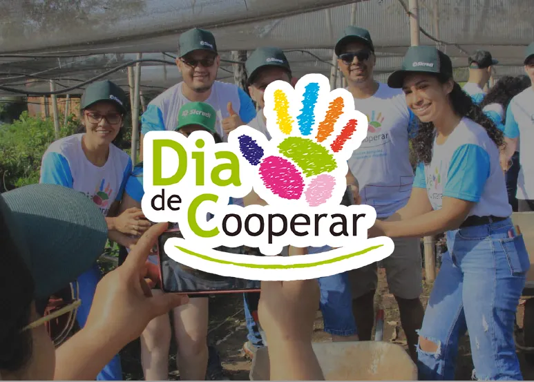  Voluntariado 