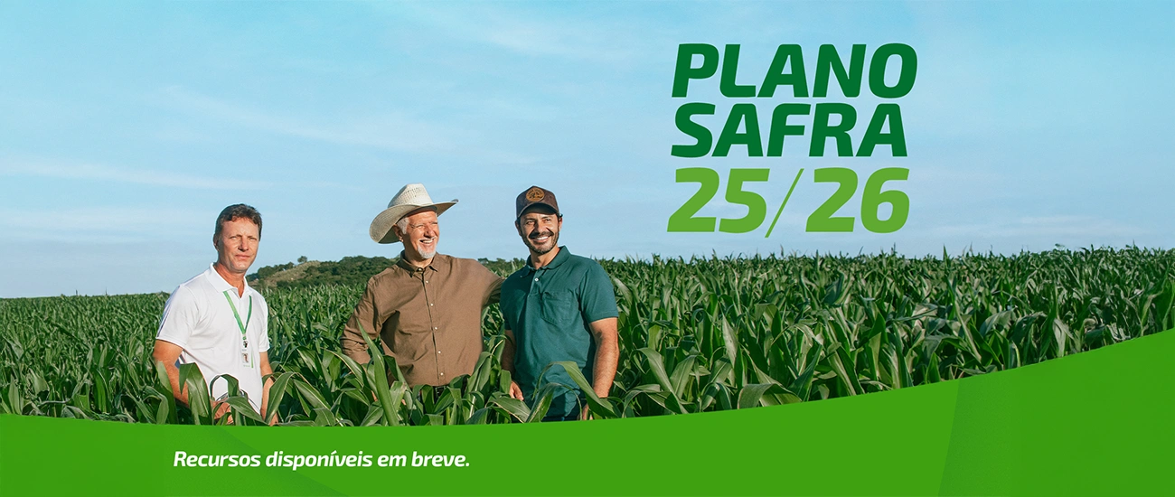  PLANO SAFRA MATERIA SITE.png 