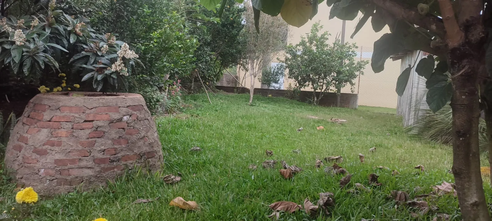 1000714662.jpg 