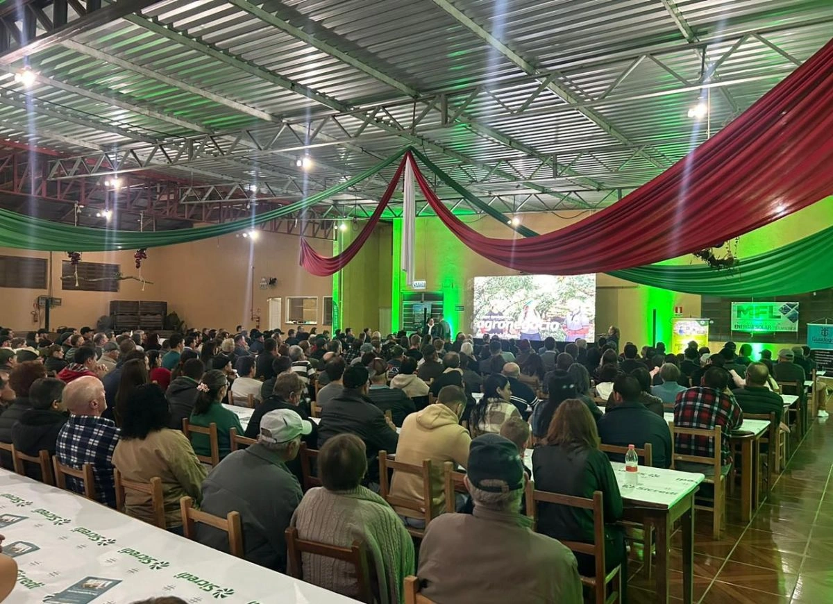  Cópia de Design sem nome (2).jpg 