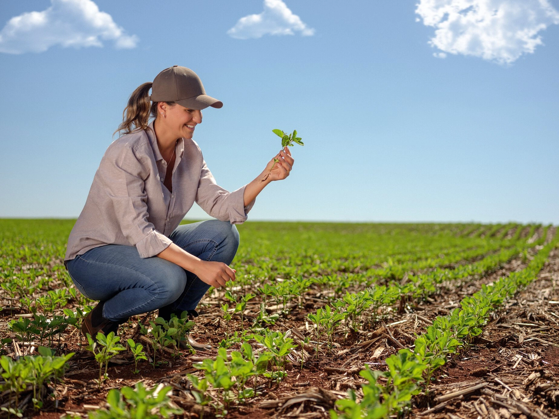  Foto 1 - mulher no agro_Crédito Divulgação Sicredi.jpg 