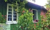  Lote erechim4.JPG 