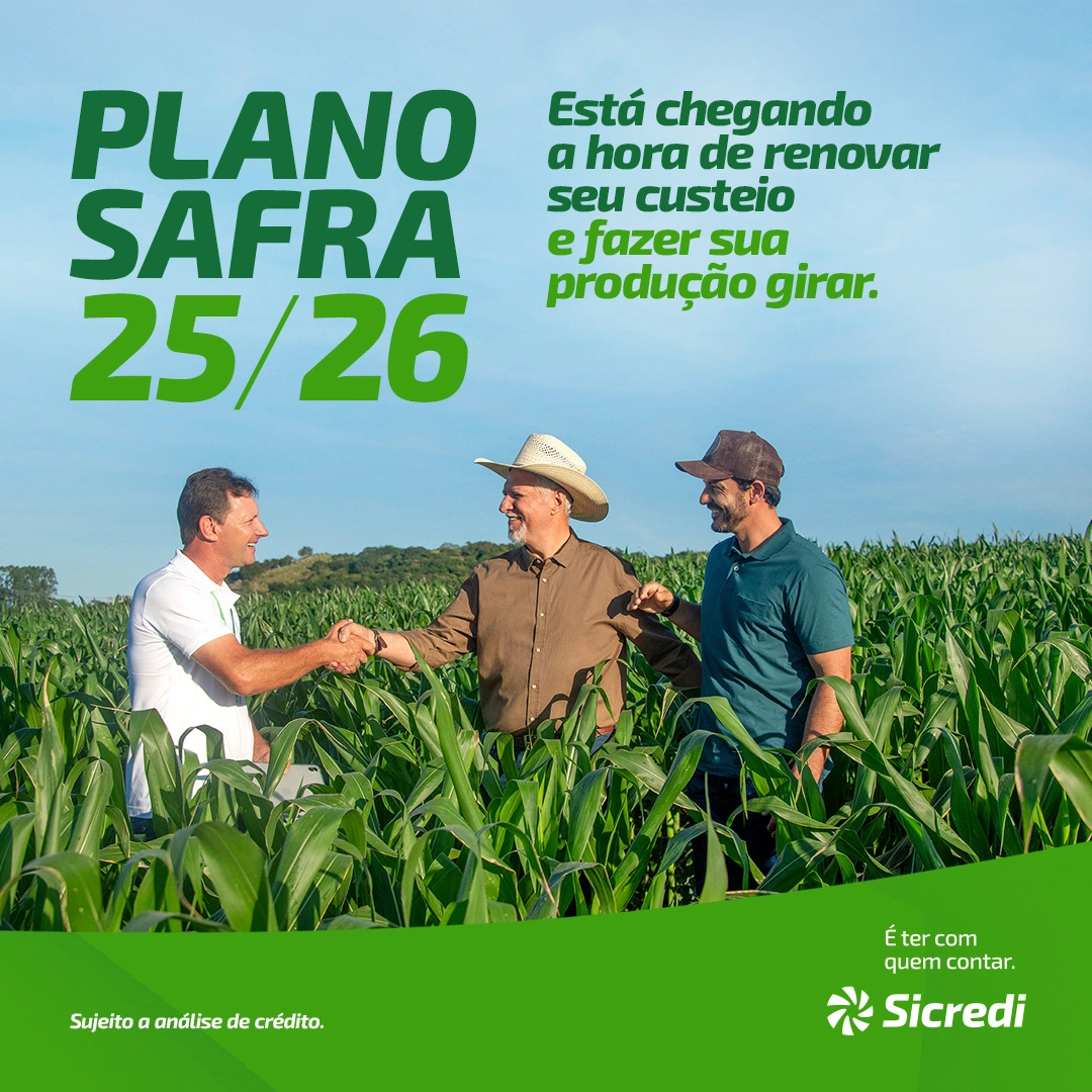  #65940_SICREDI_PLANO SAFRA 25-26_CARD 01_1080X1080 