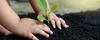  sustentabilidade 