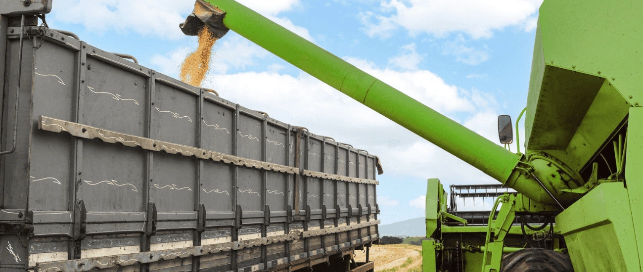 Untitled design (2).png