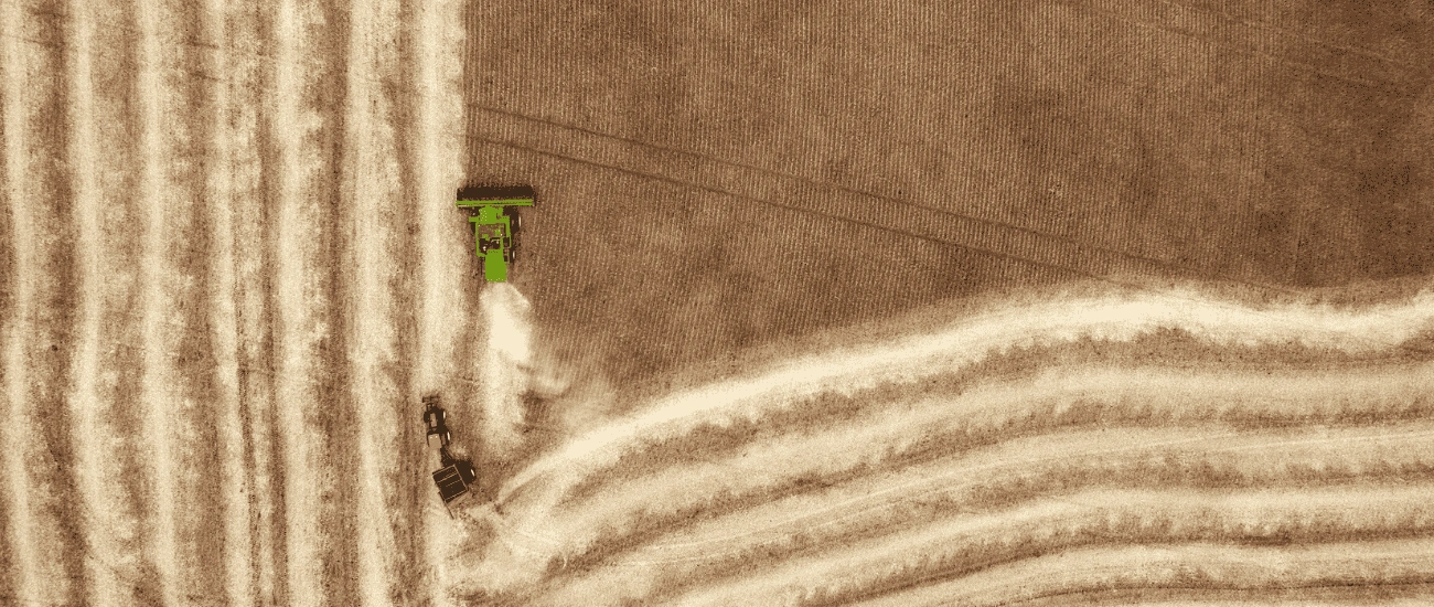 Untitled design (3).png