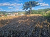  PHOTO-2025-03-10-10-47-32 