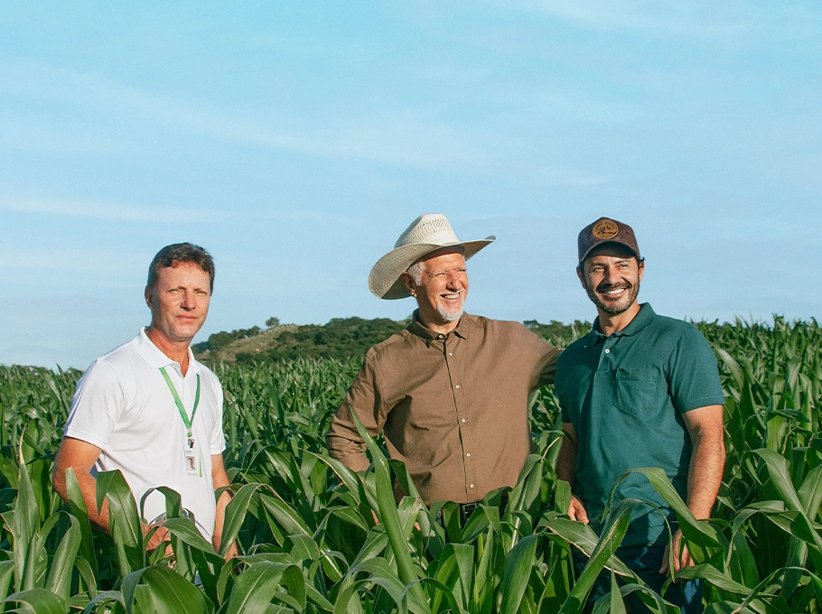  Imagem do site Sicredi 