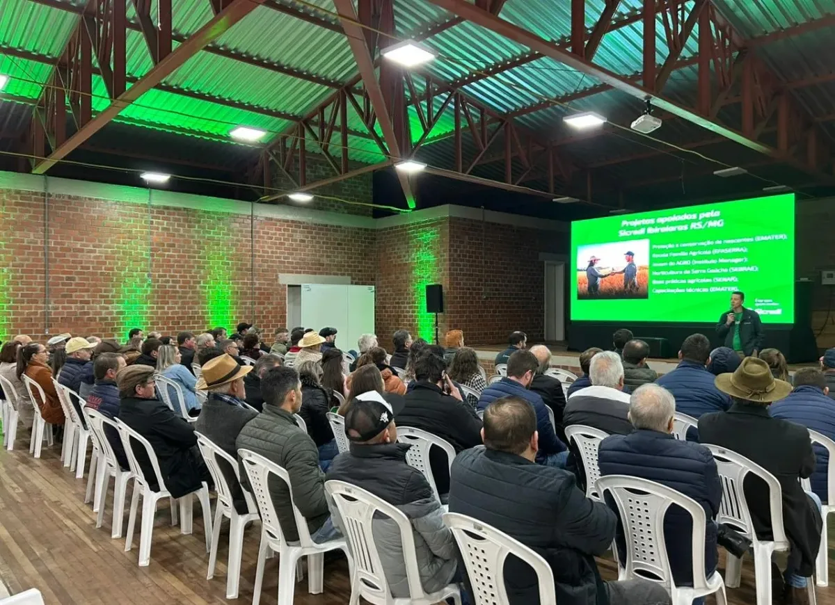  Cópia de Design sem nome (8).png 