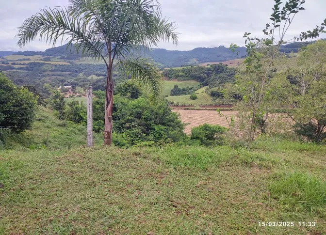  itapuca 