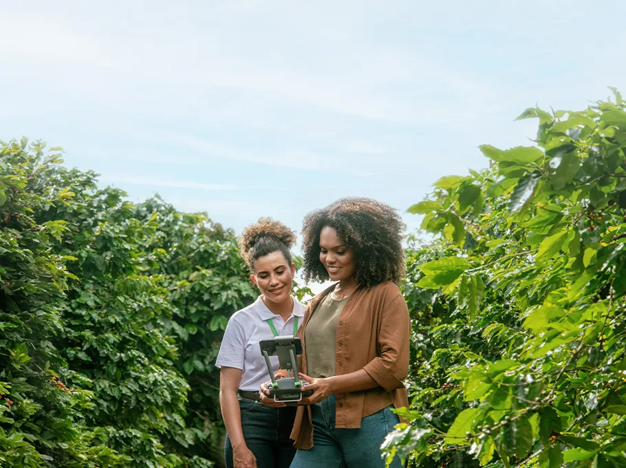  Imagem do site Sicredi 