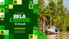  Sebrae 