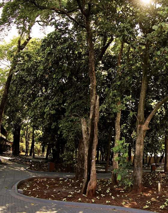 Imagem do site Sicredi