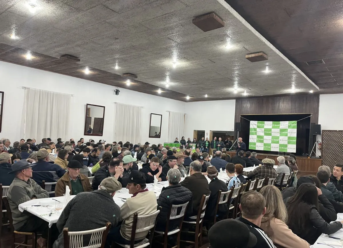  Cópia de Design sem nome (6).jpg 