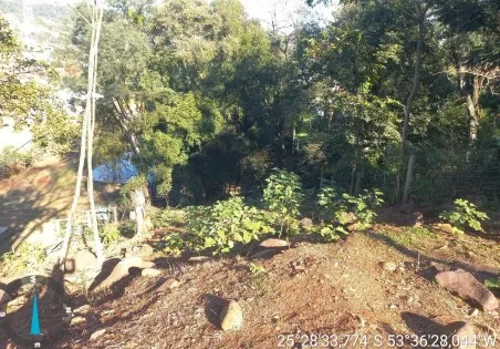  Captura de tela 2025-08-28 091459.jpg 
