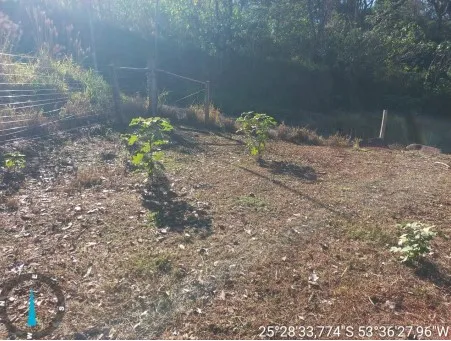 Captura de tela 2025-08-28 091530