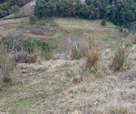  Captura de tela 2025-08-28 160253.jpg 