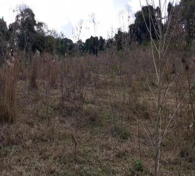  Captura de tela 2025-08-28 160338.jpg 