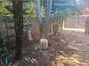  Imagem 3 Terreno Nova Andradina.jpg 