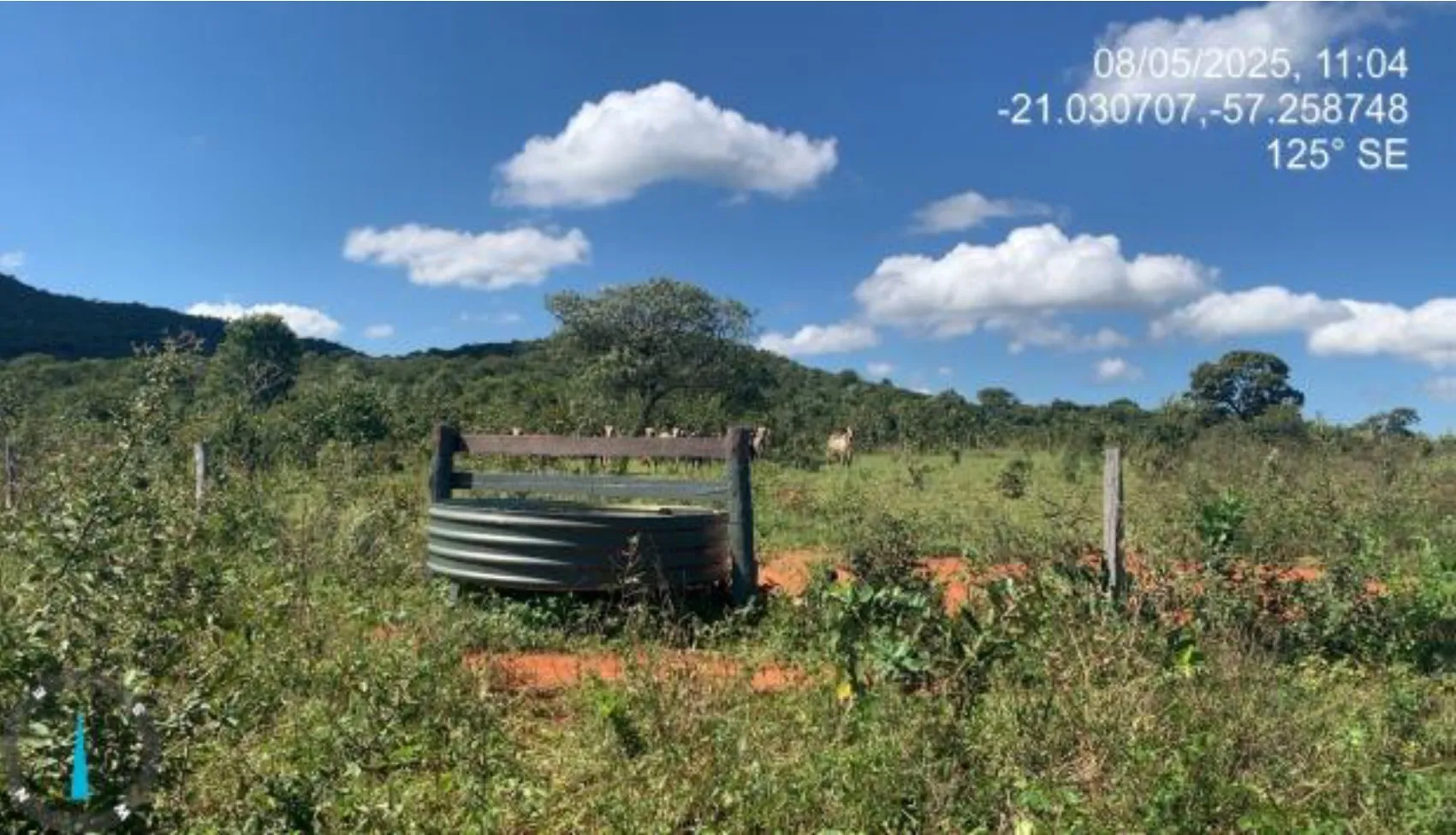  Fazenda Mãe Aparecida - 15.jpg 