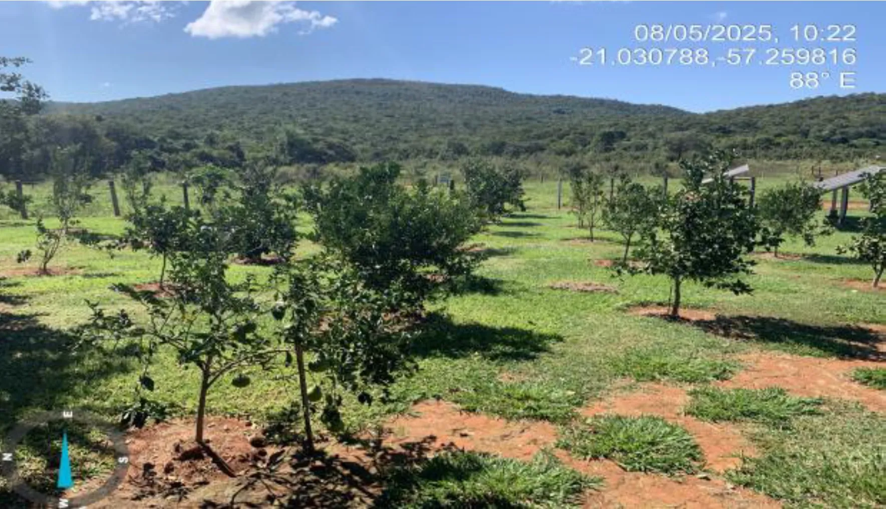  Fazenda Mãe Aparecida - 17.jpg 