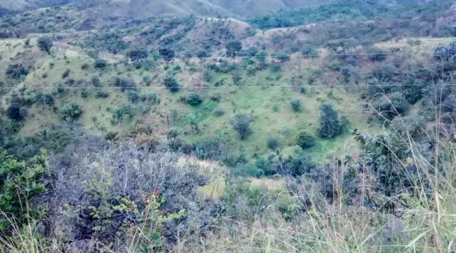  Captura de tela 2025-06-13 105111.png 