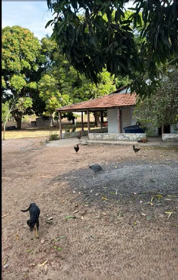 Captura de tela 2025-09-02 151817.png
