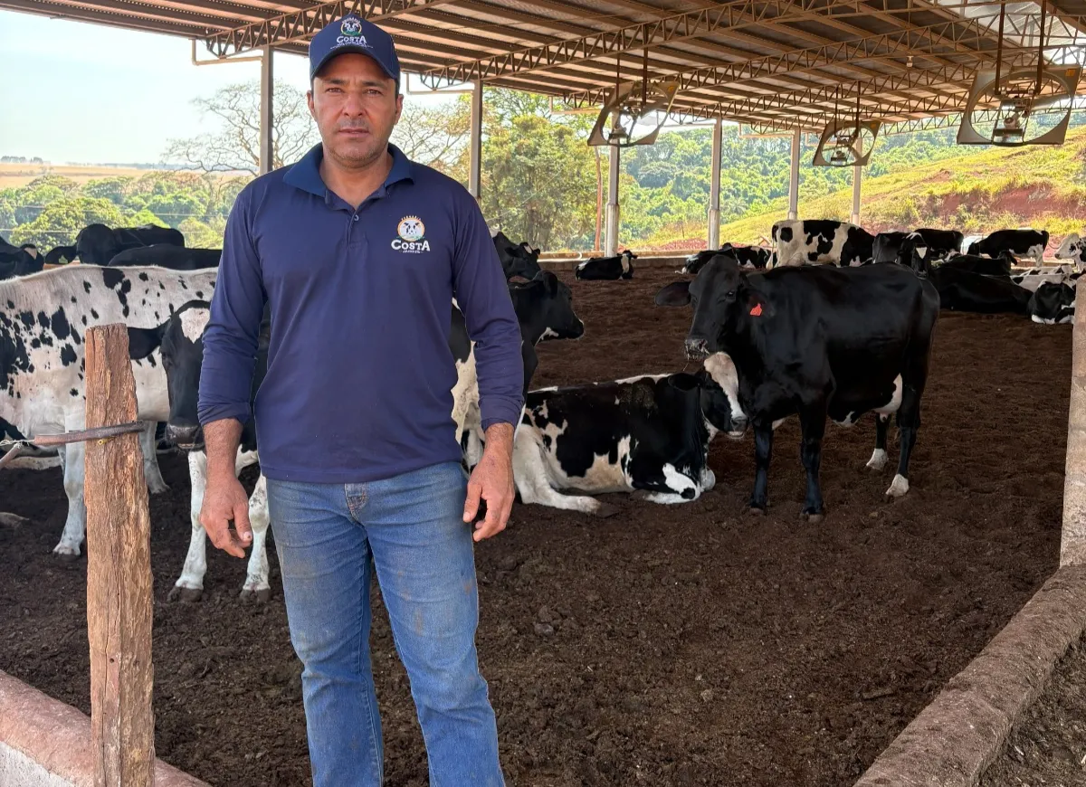  Cópia de Design sem nome (4).png 