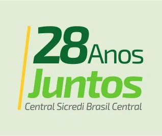 28 anos.png