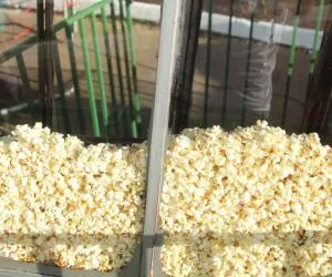  Familia Sicredi Gurupi (9).jpg 